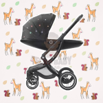 PhotoRoom_20221212_165649